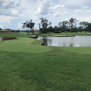 Meet your Posher, Will